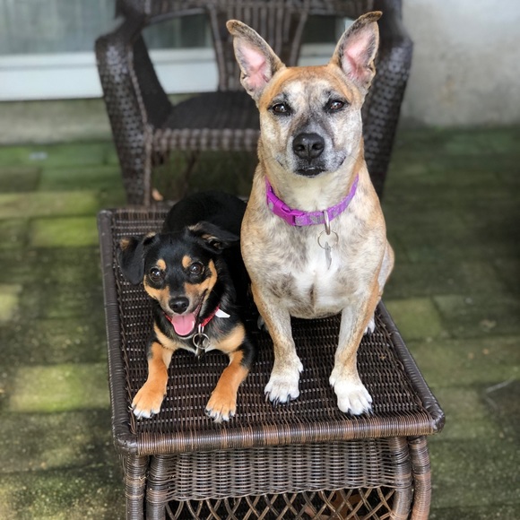 Meet your Posher, Shannon - Picture 4 of 7